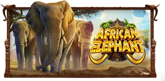 African Elephant