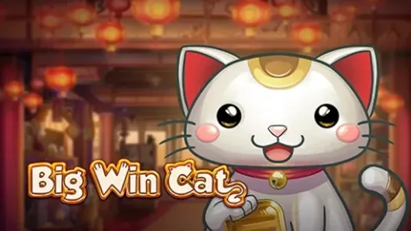 Big Win Cat