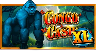 Congo Cash XL