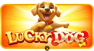 Lucky Dog