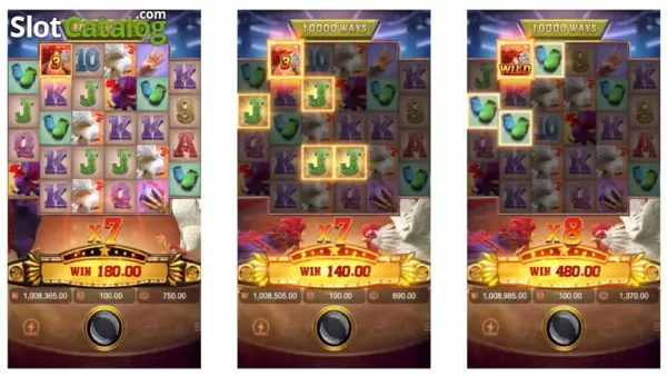 Rooster Rumble