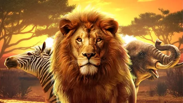 Safari Wilds