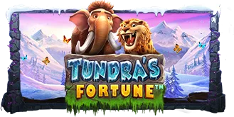 Tundra's Fortune