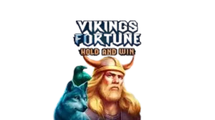Bannière Vikings Fortune: Hold and Win (Playson)