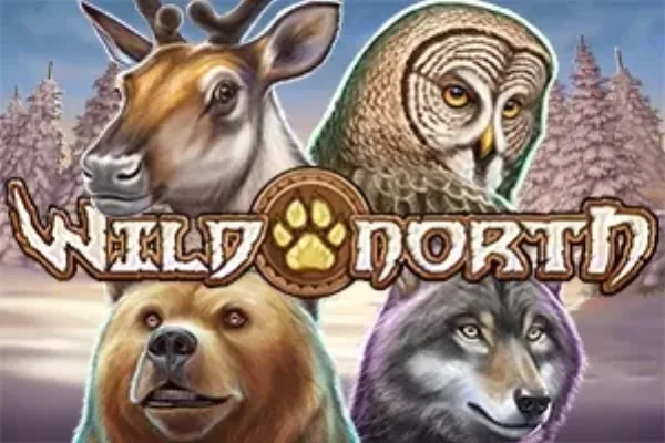Wild North